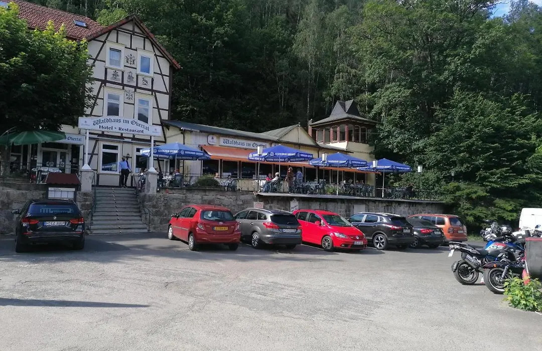Waldhaus Im Okertal-1