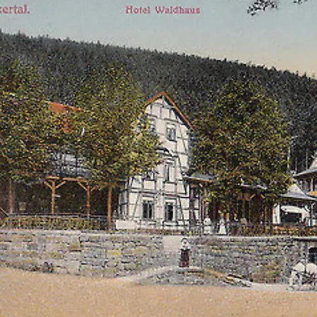 Waldhaus Im Okertal-2